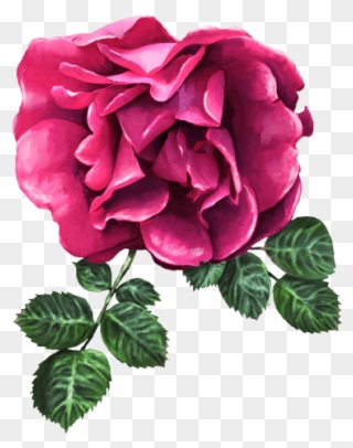 Roses And Flowers - Flower Clipart