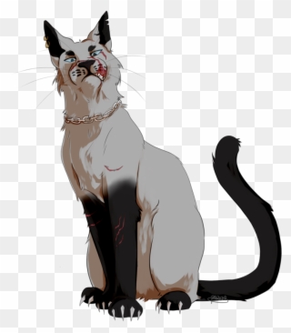 Chain Collar In Which He Stole From A Dead Dog - Cat Yawns Clipart