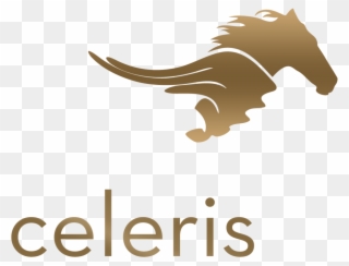 Celeris Boots Logo Clipart