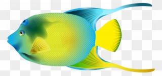 Confidential Fish Clip Art For Kids Queen Angelfish - Angel Fish Png Transparent Png