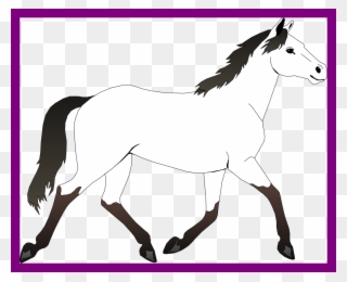 Picture Transparent Stock Incredible Best Picture Of - Horse Black And White Drawing Clipart - Png Download