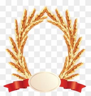 Wheat Png - Прозрачном Фоне Колосья Пшеницы Клипарт Clipart