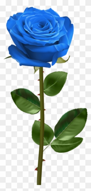 Blue Rose With Stem Png - White Rose With Stem Clipart