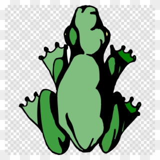 Frog Clipart Toad Tree Frog Clip Art - Frog - Png Download