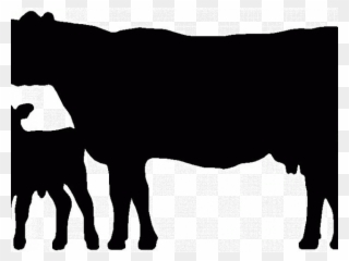 Cattle Clipart Dairy Cow - Cow Silhouette - Png Download