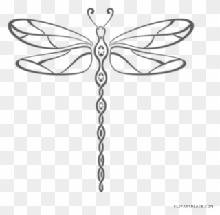 Insect A Drawing Transprent Png Moths Butterflies - Transparent Background Dragonfly Clipart