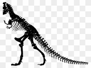 Dinosaurs Clipart Dinosaur Bone - Silhouette T Rex Skeleton - Png Download