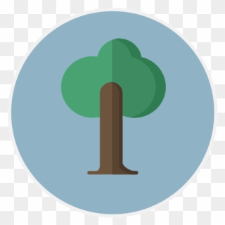 240 × 240 بكسل - Tree Circle Icon Png Clipart