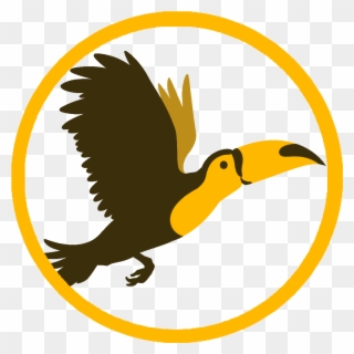 They Are Currently Based In Central Poland And The - Hornbill Clipart