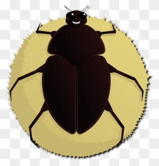 Inshare - Drosophila Melanogaster Clipart