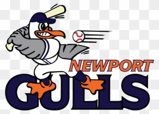 Image Result For Newport Gulls - Newport Gulls Logo Clipart