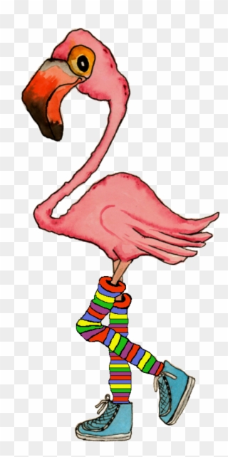 Clip Art Flamingo - Png Download