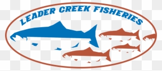 Leader Creek Fisheries Clipart