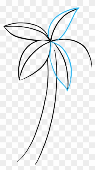 How To Draw Palm Tree - Drawing Clipart