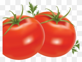 Tomato Clipart Harvest Food - Tomato Png Transparent Png