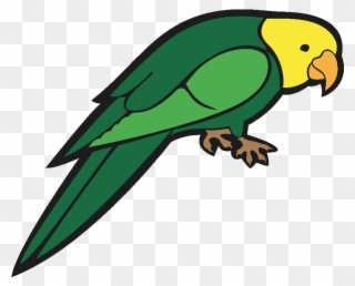 Parrot Clipart Easy - Vector Images Of Parrot - Png Download