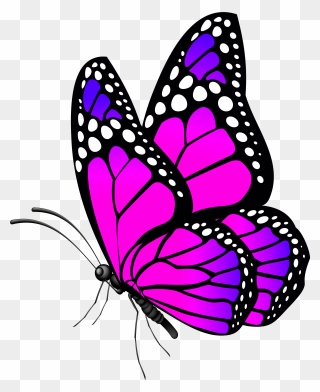Free Desktop Wallpaper Butterflies Flowers - Butterfly Png Clip Art Transparent Png