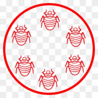 Bed Bug Life Cycle - Bed Bug Bite Clipart