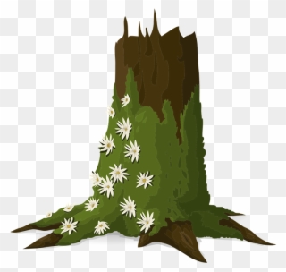 Mosses - Moss On Tree Cartoon Clipart