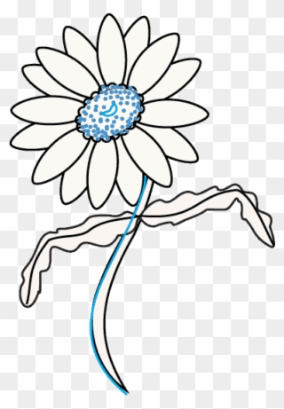 How To Draw A Daisy Easy Drawing Guides - Daisy Draw Out Flower Clipart