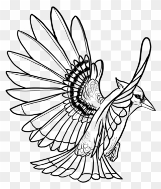 Autodesk Sketchbook Pro Clipart
