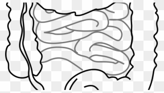 Ingestible Devices Sense Movement And Ingestion In - Small Intestine Black And White Clipart