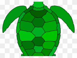 Green Clipart Seashell - Sea Turtle Clip Art - Png Download
