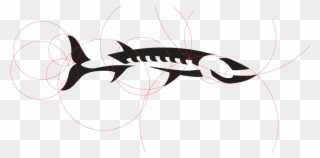 Barracuda Fish Logo - Logo Clipart