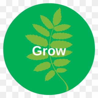Business Growth - Emblem Clipart