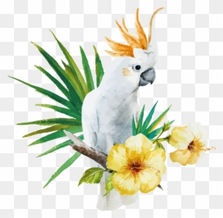 White Parrot - White Australian Parrot Vector Clipart