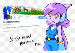 Tweets Following Followers 2,684 62 174k Following - Sash Lilac X Sonic Clipart