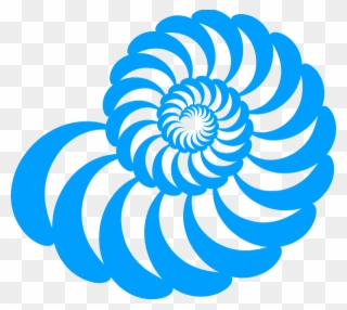 One Of The Most Fascinating Things With Our Breathing, - Spiral Clipart