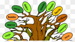 Music And Spanish Fun Tree Of Adjectives - Adjetivos De Arbol Clipart