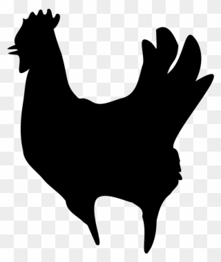 Big Image - Chicken Clipart