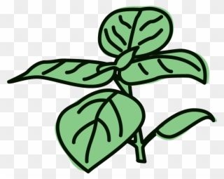 Lemon Basil Sorbet Clipart