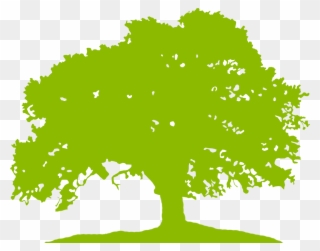 Education In Wayne County 6th Grade - Green Tree Vector Png Clipart