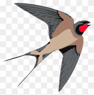 Free To Use Public Domain Birds Clip Art - Swallow Clipart - Png Download