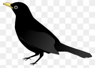 Chimney Swift Bird Clipart Vector Clip Art Online Royalty - Blackbird Clipart - Png Download