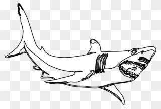 Hammerhead Shark Template Free Download Clip Art With - Great White Shark Clipart Black And White - Png Download