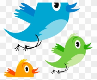 Parrot Clipart Transparent Background - Twitter Bird - Png Download
