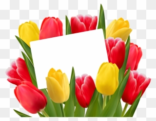 Red And Yellow Tulips Png Clipart