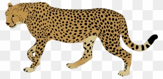 Svg Freeuse Library Cheetah Rainbow Free Collection - Cheetah Clipart - Png Download