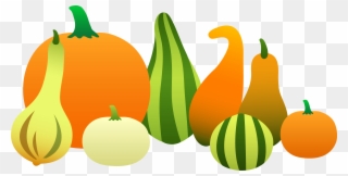 Fall Food Clipart - Pumpkins And Gourds Clipart - Png Download