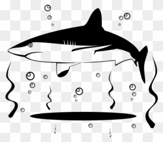 Shark Vector Clip Art - Duck Clipart Shark Black And White - Png Download
