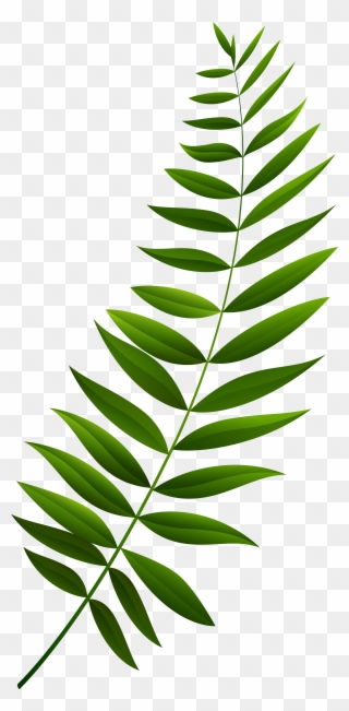 Green Branch Clipart - Png Download