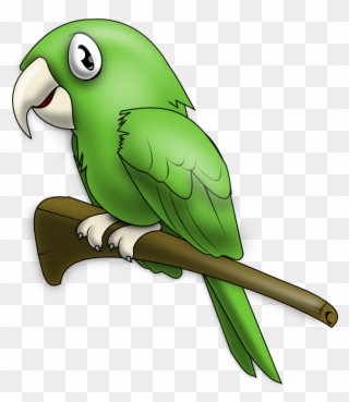 Clipart Info - Birds With Names In Hindi - Png Download