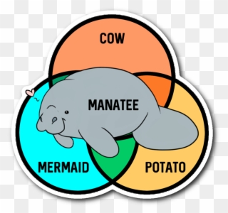 Hey - Manatee Cow Mermaid Potato Clipart