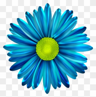 Blue Flower Clipart Blue Daisy - Blue Daisy Flower Png Transparent Png