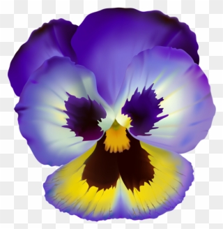 Violet Flower Transparent Clip Art - Pansy Flower Clear Background - Png Download