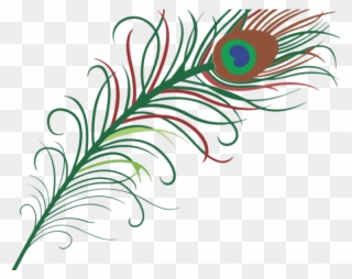 Simple Clipart Peacock - Peacock Feather Clipart Png Transparent Png